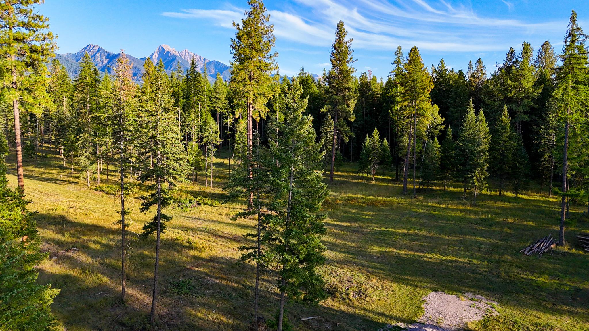 48220 Middle Creek Trail