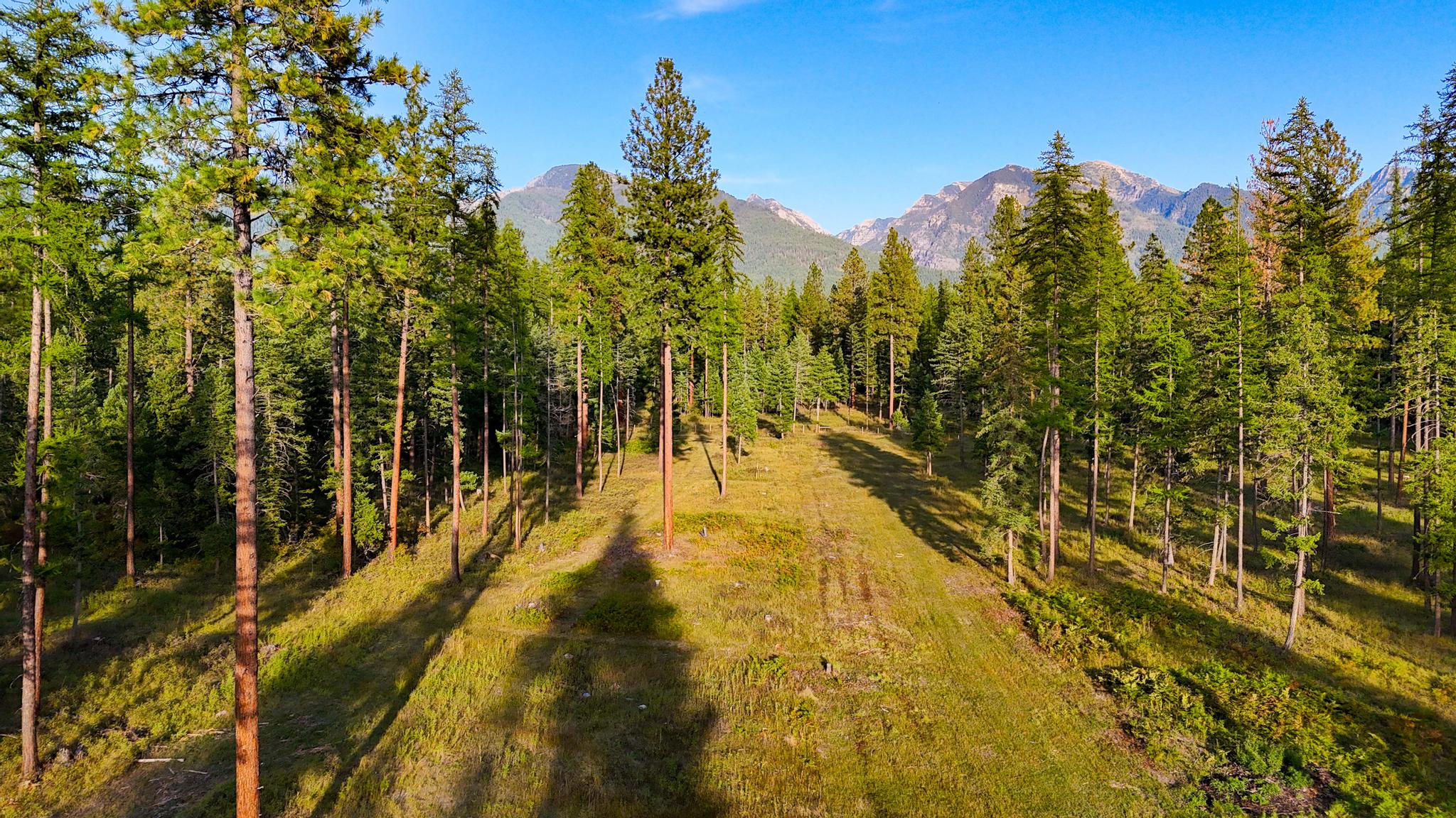 48220 Middle Creek Trail