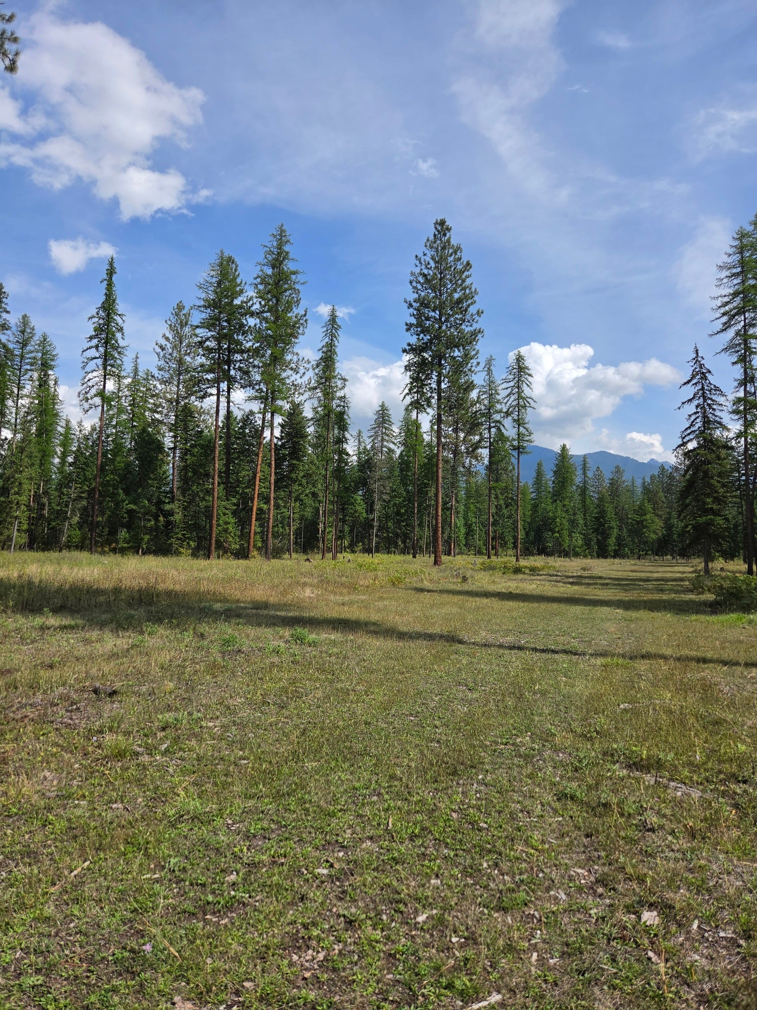 48220 Middle Creek Trail