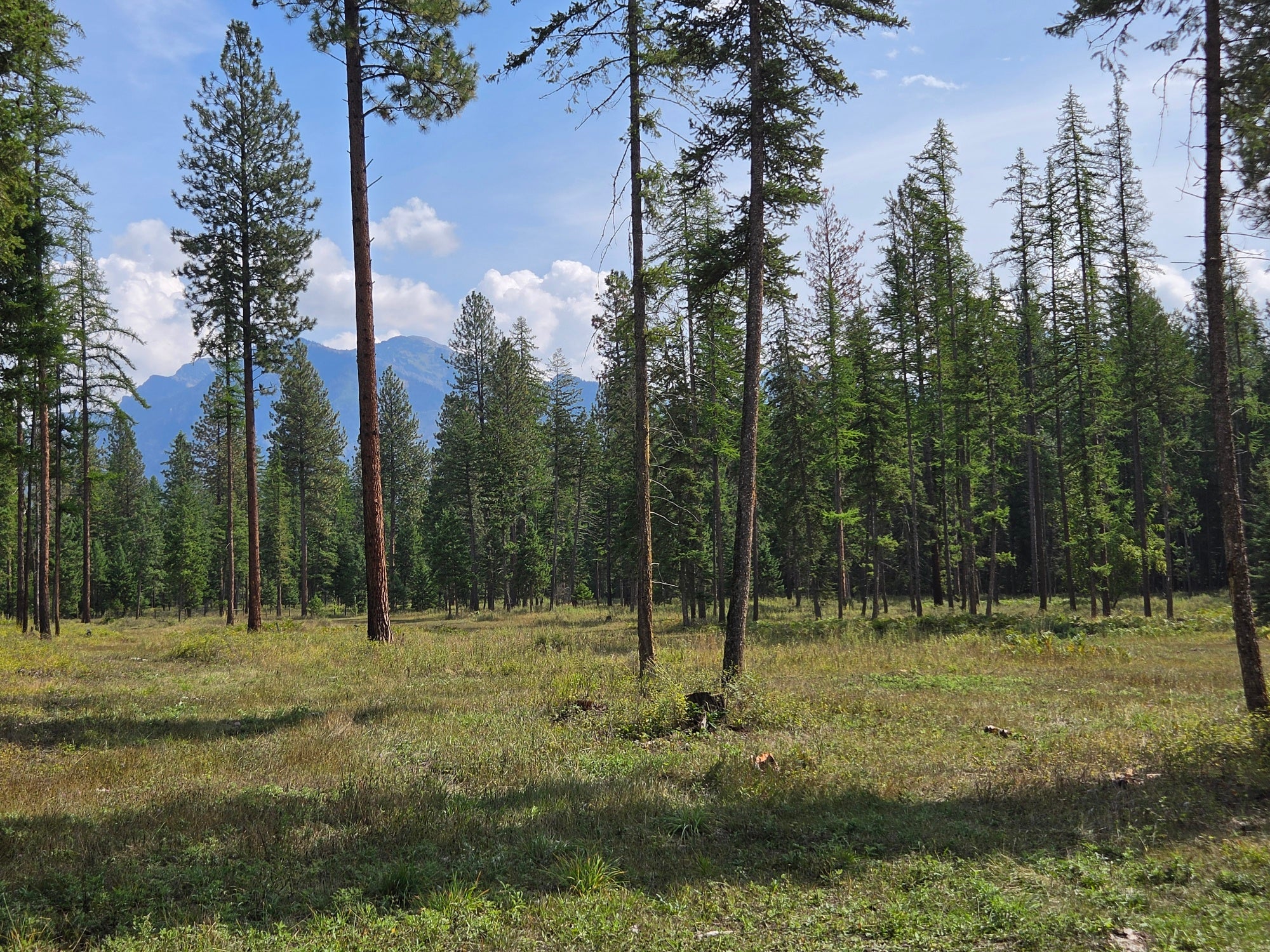 48220 Middle Creek Trail