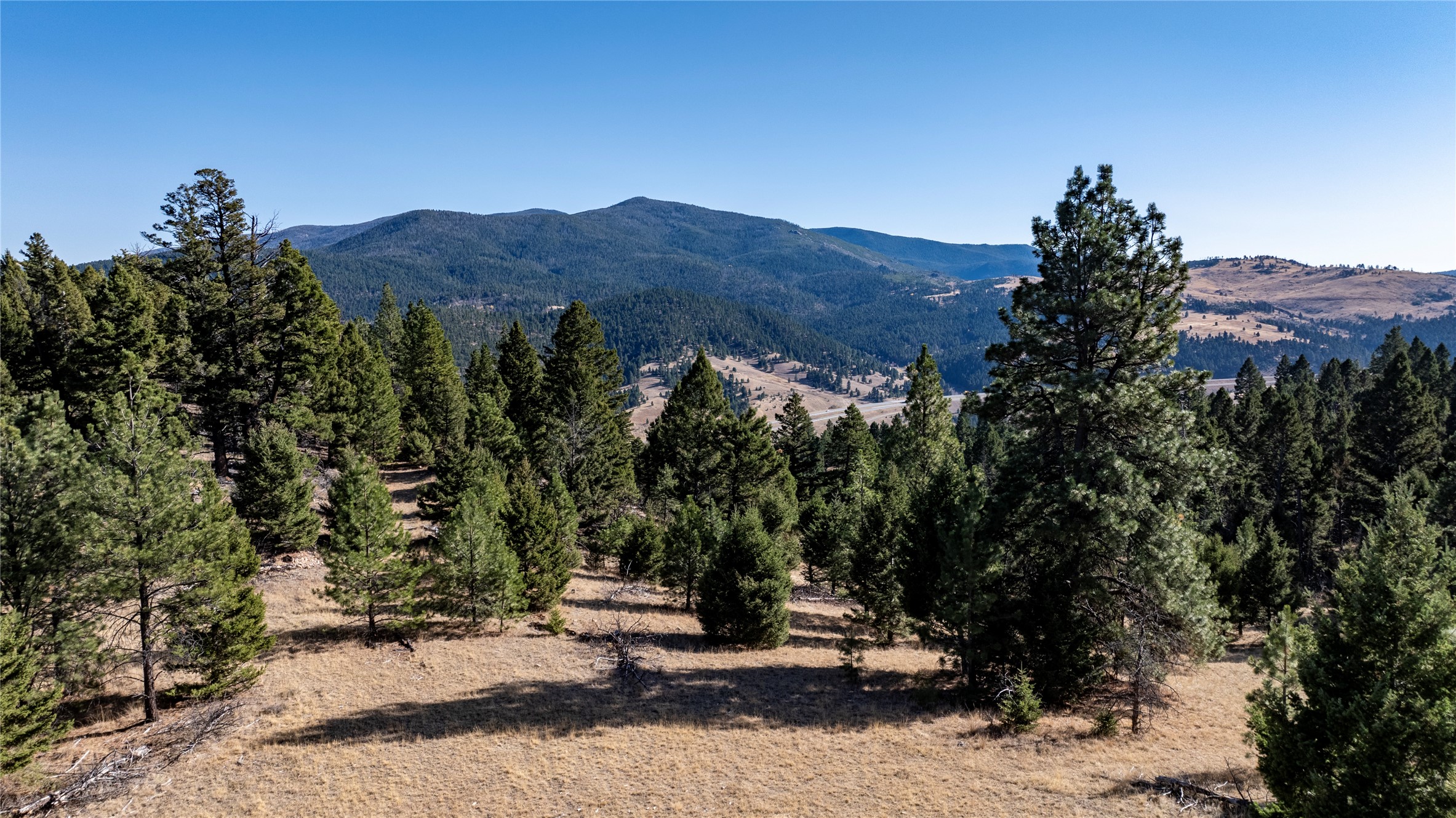 37 Elkhorn Mountain View Road