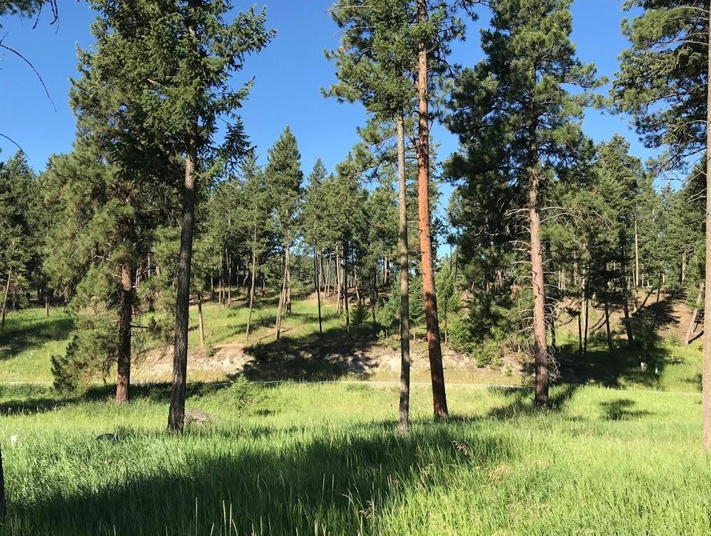 Lot 2 Black Lake Road