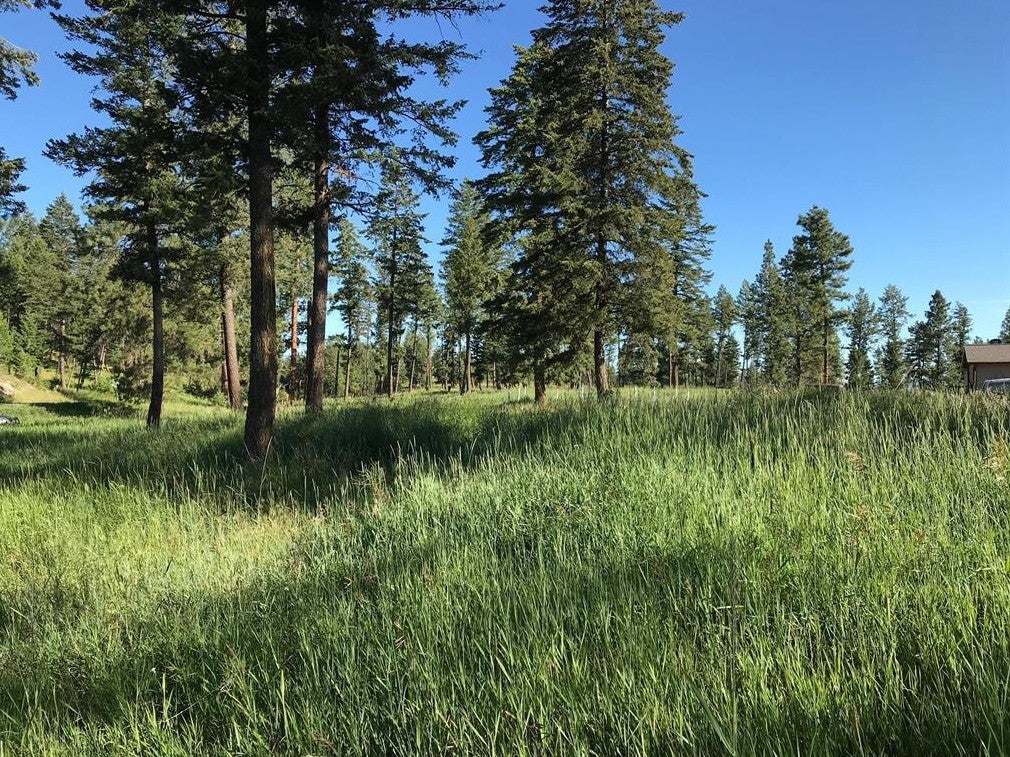 Lot 2 Black Lake Road