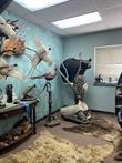 23474 Road 250