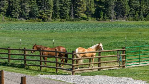 Tiny photo for 633 Beaver Creek Ranch Road, Whitefish, MT 59937 (MLS # 30068779)