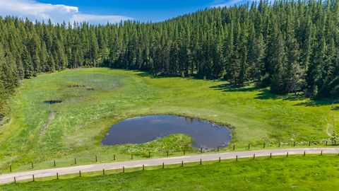 Tiny photo for 633 Beaver Creek Ranch Road, Whitefish, MT 59937 (MLS # 30068779)