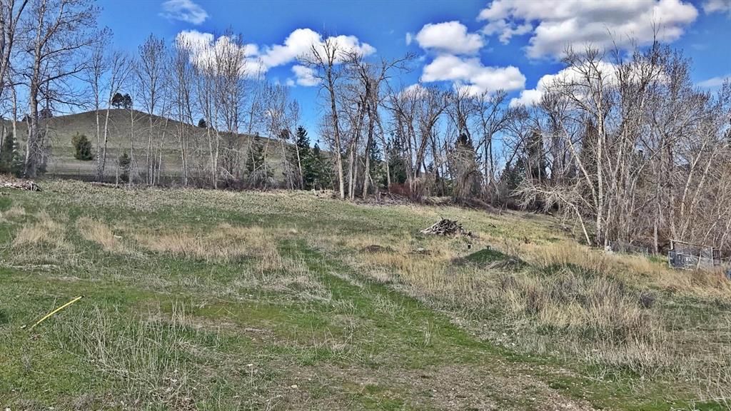 Photo of 12326 Nature Court, Lolo, MT 59847 (MLS # 30039187)