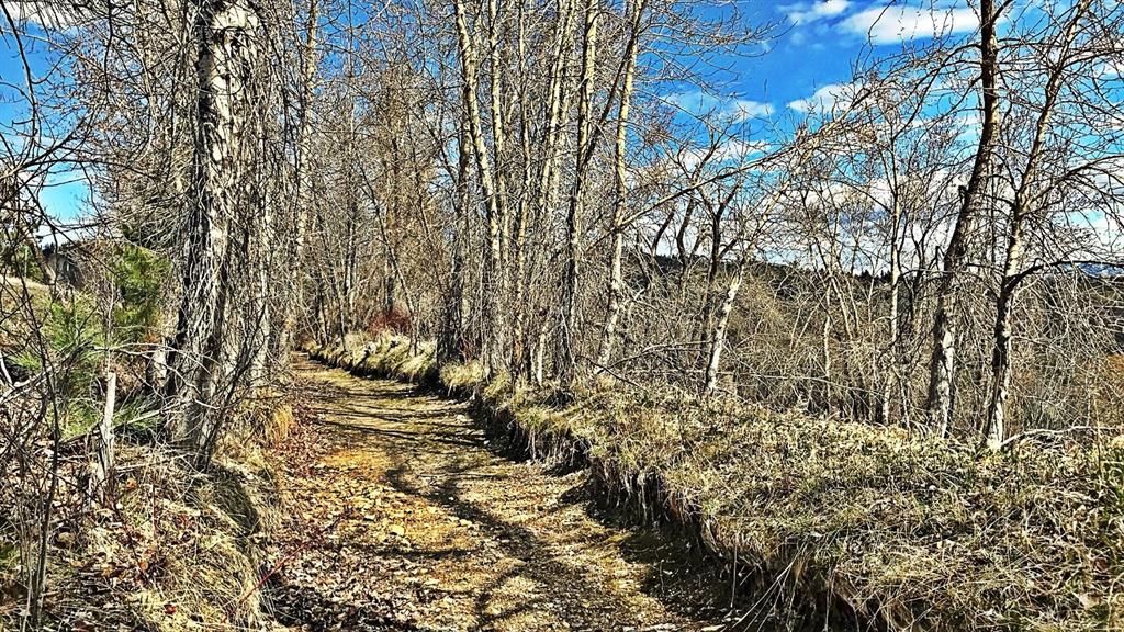 Photo of 12326 Nature Court, Lolo, MT 59847 (MLS # 30039187)