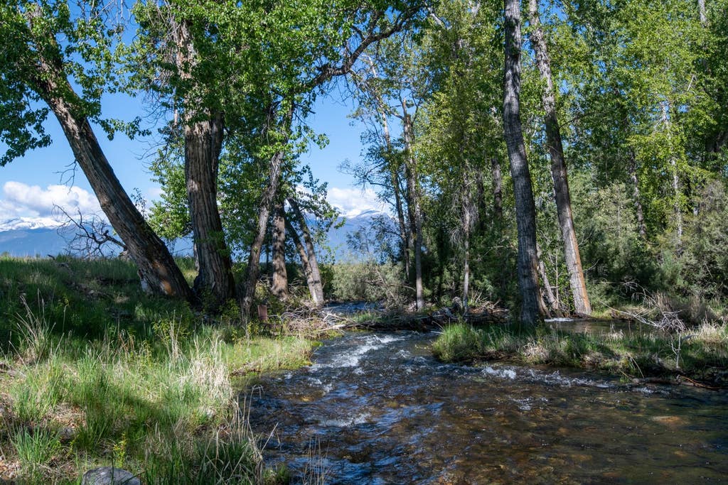 Photo of 25-A Drovers Trail, Stevensville, MT 59870 (MLS # 30066194)