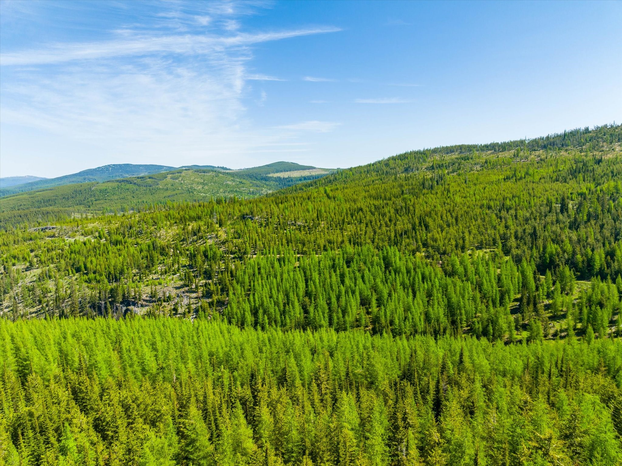 Nhn Griffin Creek Road