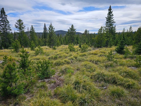 Tiny photo for Excelsior Bullion Parks Road, Elliston, MT 59728 (MLS # 30073341)