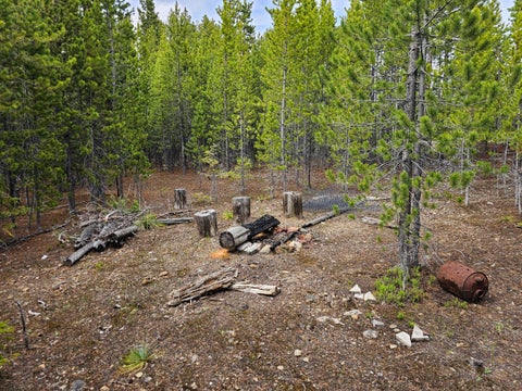 Tiny photo for Excelsior Bullion Parks Road, Elliston, MT 59728 (MLS # 30073341)