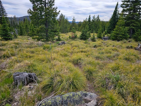 Tiny photo for Excelsior Bullion Parks Road, Elliston, MT 59728 (MLS # 30073341)