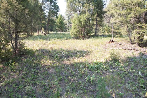Tiny photo for 50 Juniper Ridge Lane, Drummond, MT 59832 (MLS # 30076481)