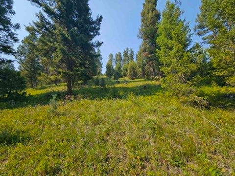 Tiny photo for 50 Juniper Ridge Lane, Drummond, MT 59832 (MLS # 30076481)