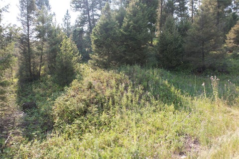 Tiny photo for 50 Juniper Ridge Lane, Drummond, MT 59832 (MLS # 30076481)