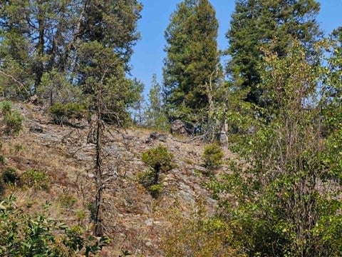 Tiny photo for 50 Juniper Ridge Lane, Drummond, MT 59832 (MLS # 30076481)