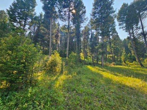 Tiny photo for 50 Juniper Ridge Lane, Drummond, MT 59832 (MLS # 30076481)