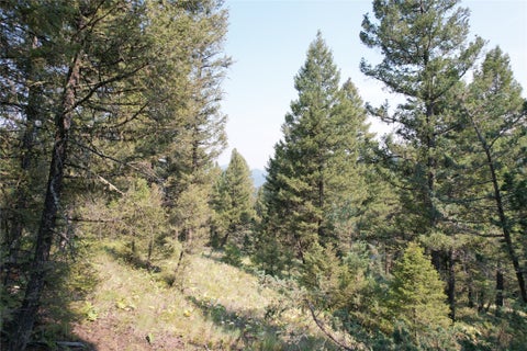 Tiny photo for 50 Juniper Ridge Lane, Drummond, MT 59832 (MLS # 30076481)