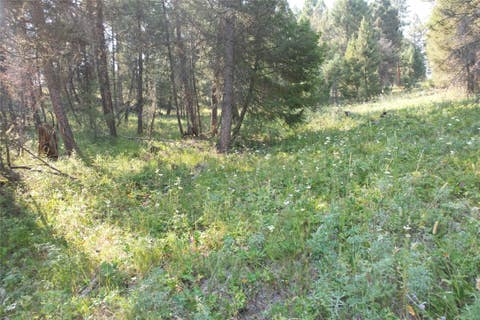 Tiny photo for 50 Juniper Ridge Lane, Drummond, MT 59832 (MLS # 30076481)
