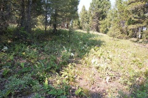 Tiny photo for 50 Juniper Ridge Lane, Drummond, MT 59832 (MLS # 30076481)