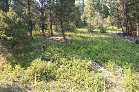 Tiny photo for 50 Juniper Ridge Lane, Drummond, MT 59832 (MLS # 30076481)