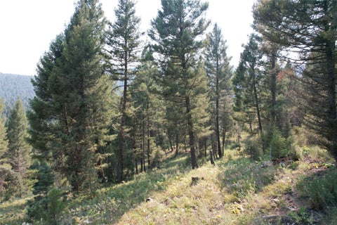 Tiny photo for 50 Juniper Ridge Lane, Drummond, MT 59832 (MLS # 30076481)