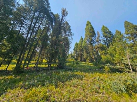 Tiny photo for 50 Juniper Ridge Lane, Drummond, MT 59832 (MLS # 30076481)
