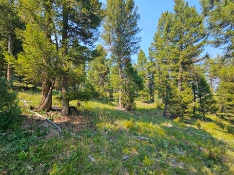 Tiny photo for 50 Juniper Ridge Lane, Drummond, MT 59832 (MLS # 30076481)