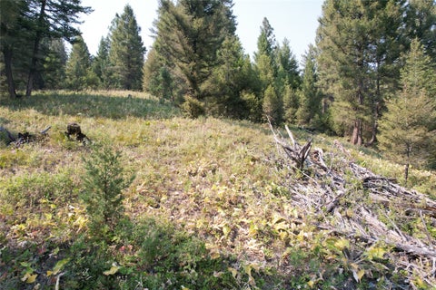 Tiny photo for 50 Juniper Ridge Lane, Drummond, MT 59832 (MLS # 30076481)