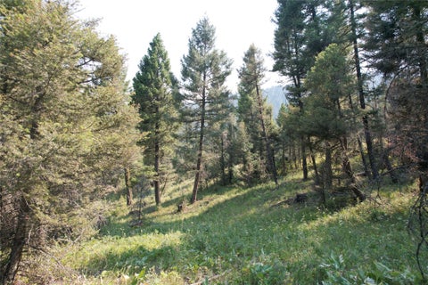 Tiny photo for 50 Juniper Ridge Lane, Drummond, MT 59832 (MLS # 30076481)