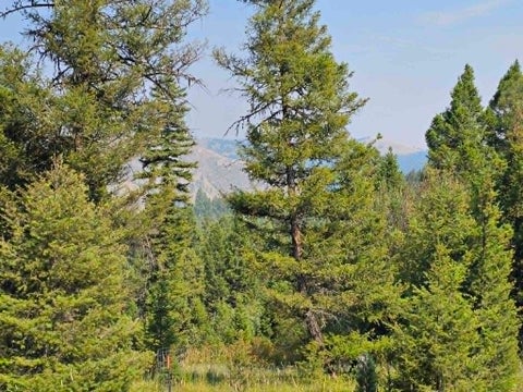 Tiny photo for 50 Juniper Ridge Lane, Drummond, MT 59832 (MLS # 30076481)