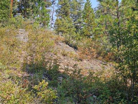 Tiny photo for 50 Juniper Ridge Lane, Drummond, MT 59832 (MLS # 30076481)
