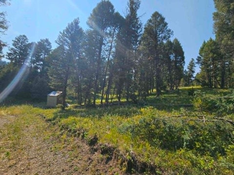 Tiny photo for 50 Juniper Ridge Lane, Drummond, MT 59832 (MLS # 30076481)