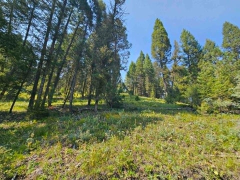 Tiny photo for 50 Juniper Ridge Lane, Drummond, MT 59832 (MLS # 30076481)