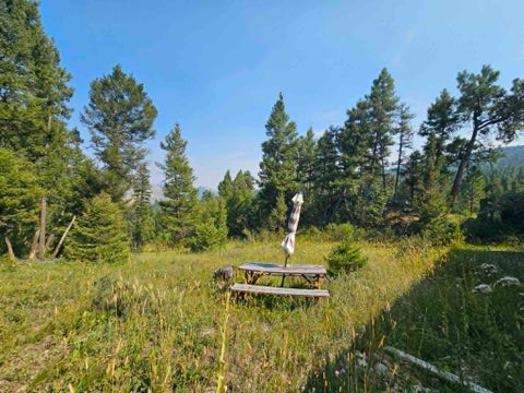 Tiny photo for 50 Juniper Ridge Lane, Drummond, MT 59832 (MLS # 30076481)