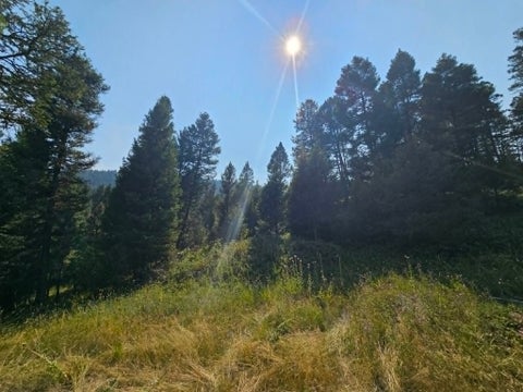 Tiny photo for 50 Juniper Ridge Lane, Drummond, MT 59832 (MLS # 30076481)