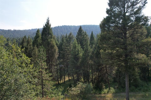 Tiny photo for 50 Juniper Ridge Lane, Drummond, MT 59832 (MLS # 30076481)