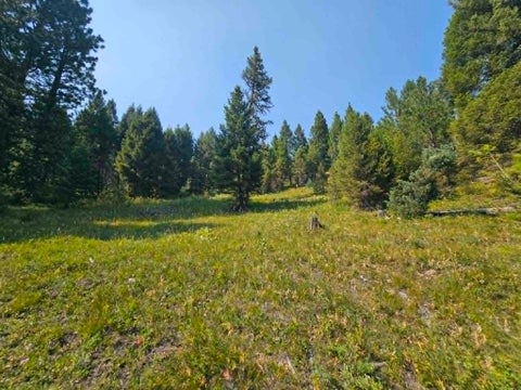 Tiny photo for 50 Juniper Ridge Lane, Drummond, MT 59832 (MLS # 30076481)