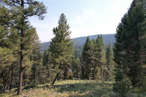 Tiny photo for 50 Juniper Ridge Lane, Drummond, MT 59832 (MLS # 30076481)