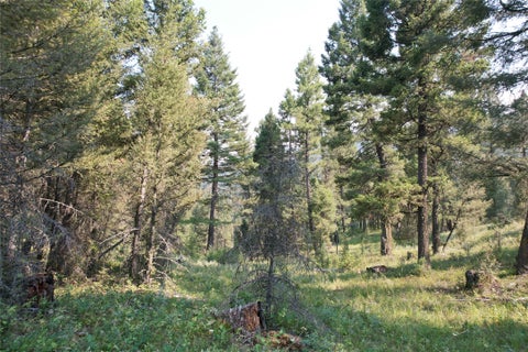 Tiny photo for 50 Juniper Ridge Lane, Drummond, MT 59832 (MLS # 30076481)