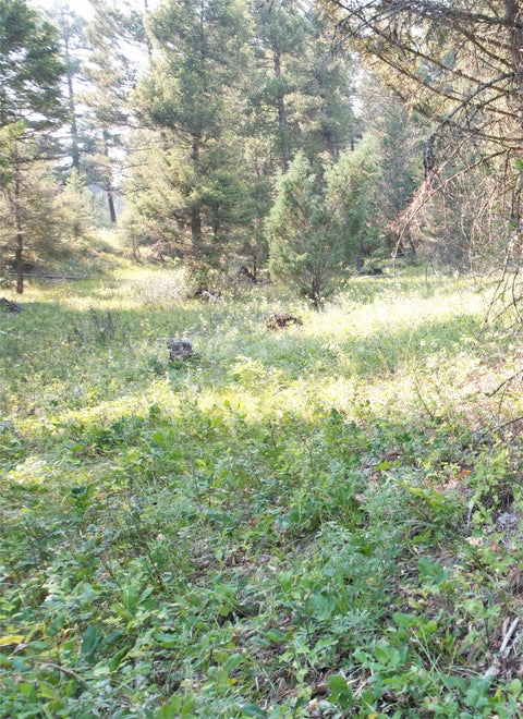 Tiny photo for 50 Juniper Ridge Lane, Drummond, MT 59832 (MLS # 30076481)