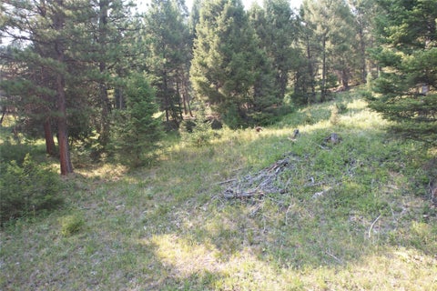 Tiny photo for 50 Juniper Ridge Lane, Drummond, MT 59832 (MLS # 30076481)