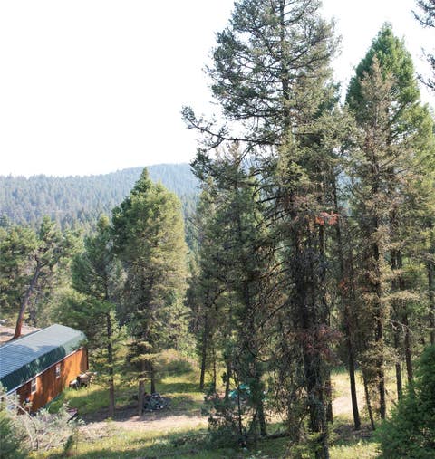 Tiny photo for 50 Juniper Ridge Lane, Drummond, MT 59832 (MLS # 30076481)
