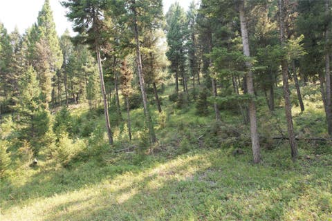 Tiny photo for 50 Juniper Ridge Lane, Drummond, MT 59832 (MLS # 30076481)