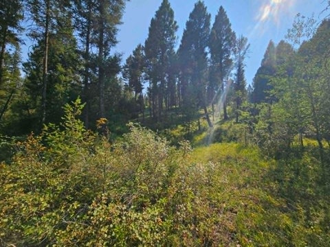 Tiny photo for 50 Juniper Ridge Lane, Drummond, MT 59832 (MLS # 30076481)