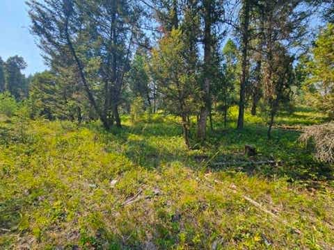 Tiny photo for 50 Juniper Ridge Lane, Drummond, MT 59832 (MLS # 30076481)