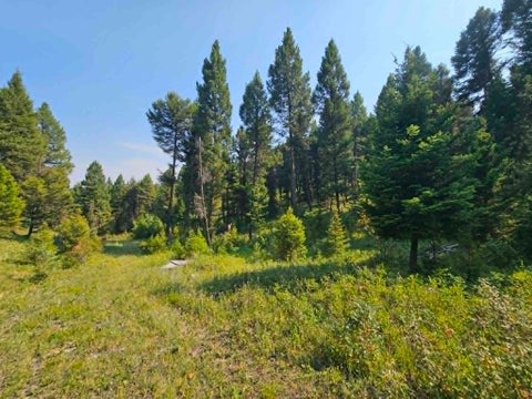 Tiny photo for 50 Juniper Ridge Lane, Drummond, MT 59832 (MLS # 30076481)