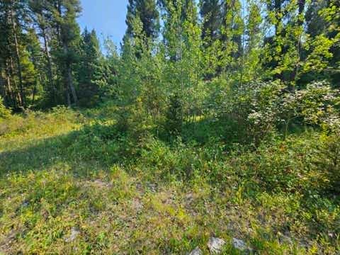 Tiny photo for 50 Juniper Ridge Lane, Drummond, MT 59832 (MLS # 30076481)