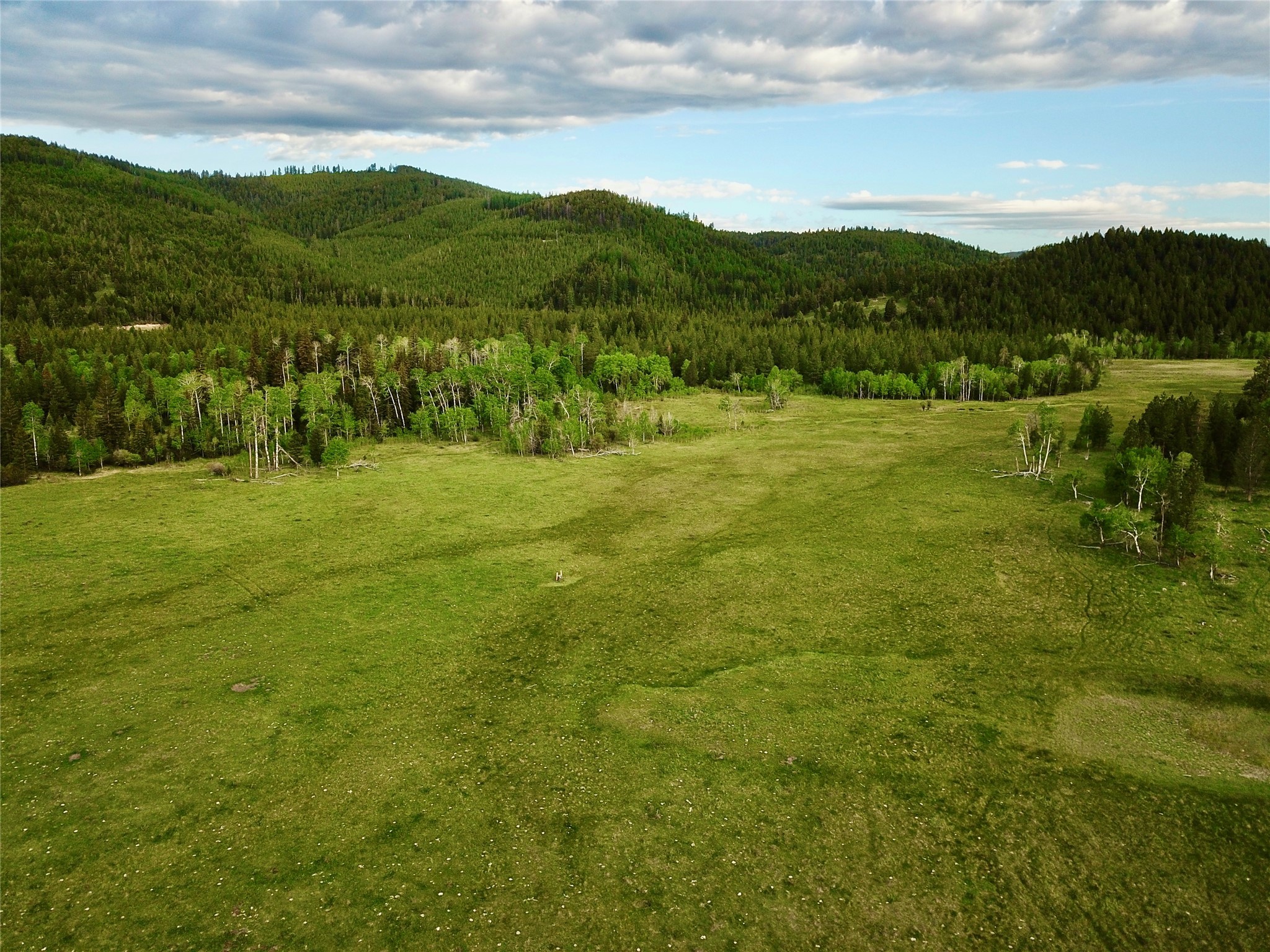 0 Patterson Prairie Road